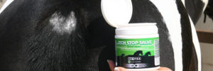 Itch Stop Salve and tail