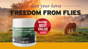 Equine Fly Control